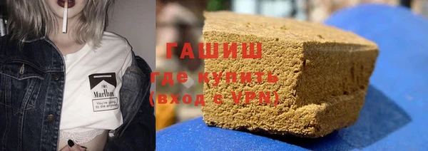 хмурый Алексин