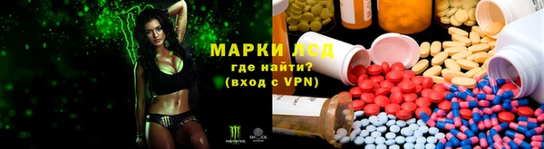 хмурый Алексин