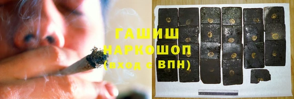 хмурый Алексин
