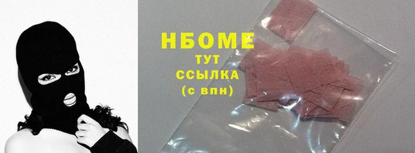 хмурый Алексин