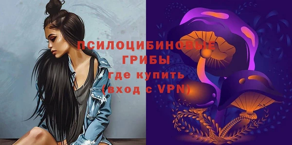 винт Алзамай
